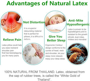 Natural Latex Pillow Orthopaedic Massage Pillow- With Cover JaydeeBedding