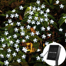 Load image into Gallery viewer, SOLAR LED Waterproof Flower Garden Lightning  Home Decor