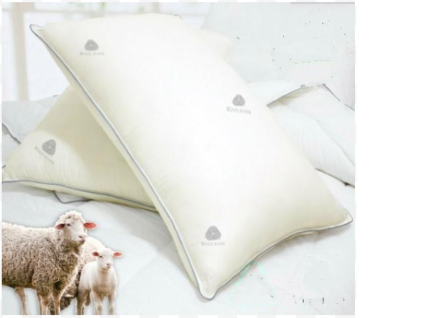 2 xAus Made Natural Wool Pillows